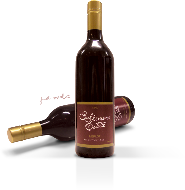 These days, Merlot is lauded in its own right and has been described by some as the �King of Wines�, as it is more opulent and fleshy than other well regarded varieties. Merlot�s rich bouquet can be one of the most pleasurable wine experiences, as few other wines can approach such richness.