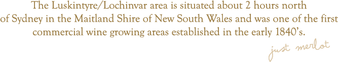 The Luskintyre/Lochinvar area is situated about 2 hours north of Sydney in the Maitland Shire of New South Wales and was one of the first commercial wine growing areas established in the early 1840&rsquo;s.